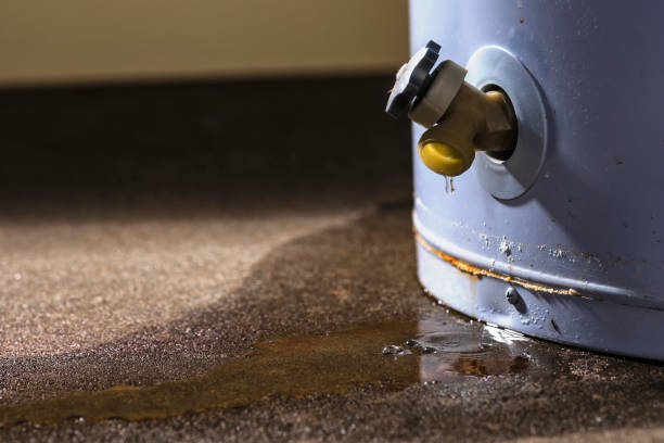 Best Local water damage restoration  in Denton, MD