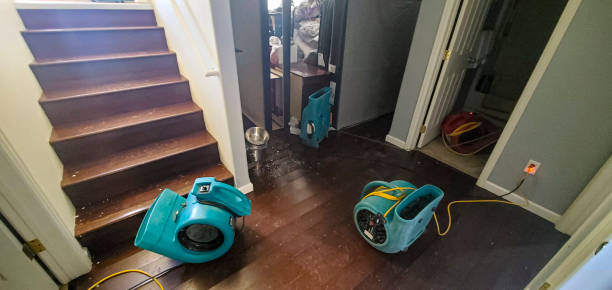 Best Emergency water damage restoration  in Denton, MD