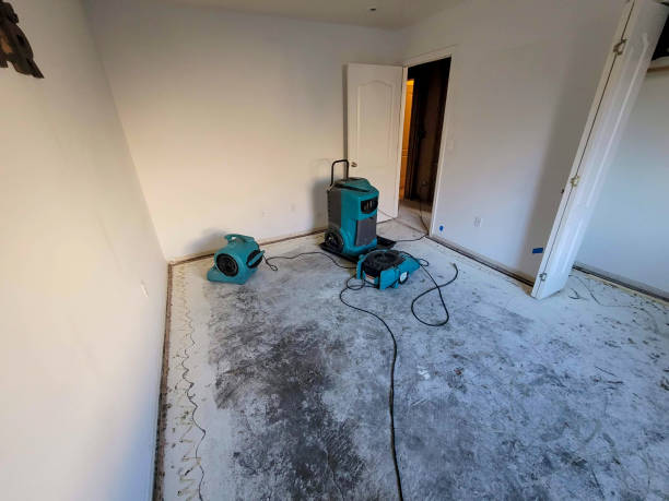 Best Water damage restoration process  in Denton, MD