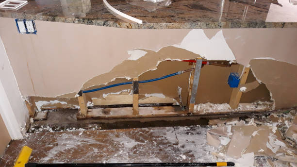 Best Flood damage cleanup  in Denton, MD
