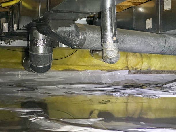 Best Local water damage restoration  in Denton, MD