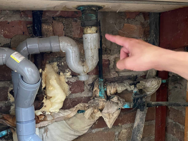 Best Water damage restoration near me  in Denton, MD